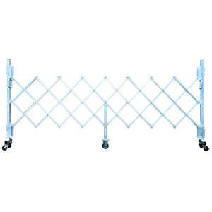 �ԥ������ݥ쥤����� �Хꥱ���ɥե��� �ʰץ���ߥ��㥹���������� �� GTO30