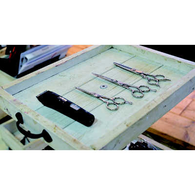 AIVIL プロトリマー [交流充電式 /国内・海外対応] AT-15G06 の通販