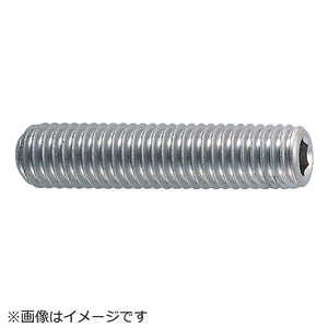 トラスコ中山 六角穴付止めネジ ステンレス サイズM6×10 42個入 B450610