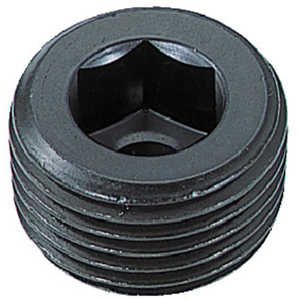 ȥ饹滳 ơѡߥץ饰 PT1/16 8 B831116