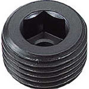 �ȥ饹���滳 �ơ��ѡ����ߥץ饰 ������PT1/8 19���� B830118