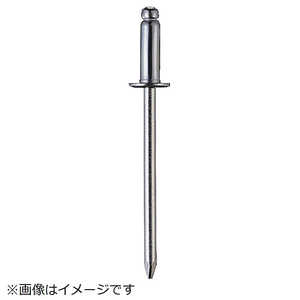 トラスコ中山 ブラインドリベット(SUS/SUS) 5-4 500本入 SS54C トラスコ中山 ブラインドリベット(SUS/SUS) 5-4 500本入 SS54C