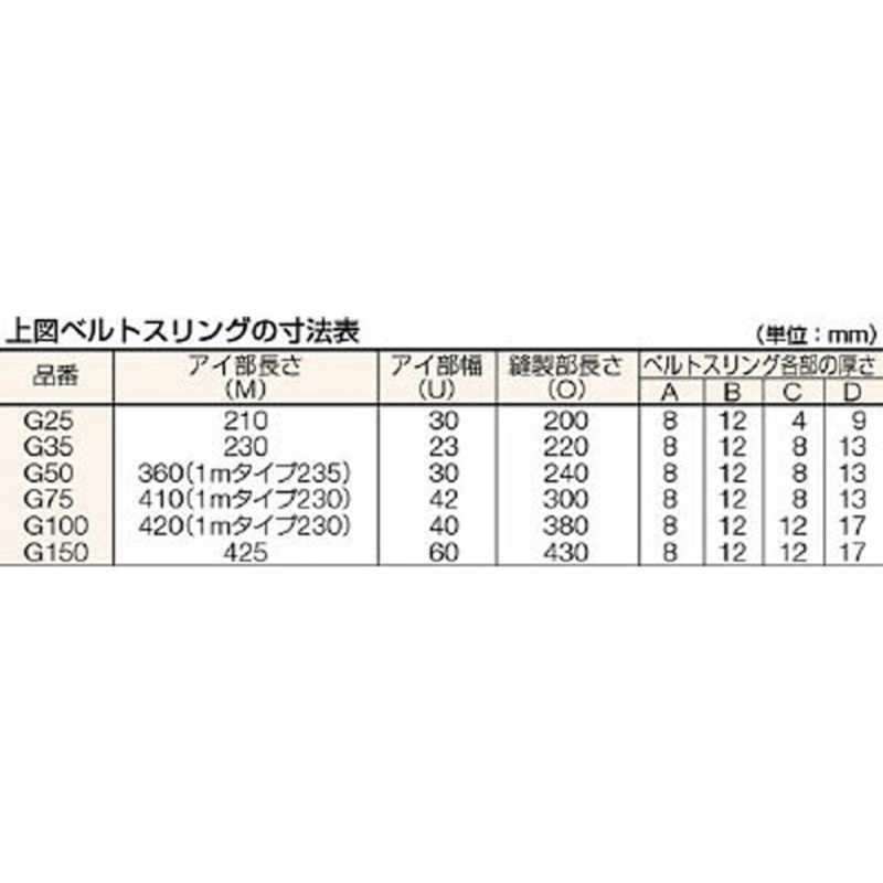 驚きの値段 トラスコ中山 ベルトスリング JIS3等級 両端アイ形 100mmX10.0m G100-100 A020119
