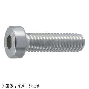 トラスコ中山 低頭六角穴付ボルト ステンレス全ネジ サイズM3X8 16本入 B0890308 トラスコ中山 低頭六角穴付ボルト ステンレス全ネジ サイズM3X8 16本入 B0890308
