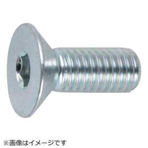 トラスコ中山 六角穴付皿ボルト三価 白 サイズM5×12 25本入 B7730512 トラスコ中山 六角穴付皿ボルト三価 白 サイズM5×12 25本入 B7730512