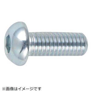 トラスコ中山 六角穴付ボタンボルト三価 白 サイズM6×25 17本入 B7740625
