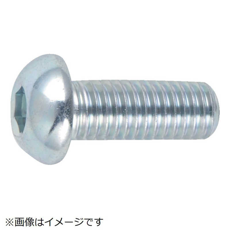 トラスコ中山 六角穴付ボタンボルト三価 白 サイズm8 25 10本入 7405 トラスコ中山 六角穴付ボタンボルト三価 白 サイズm8 25 10本入 7405