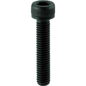 ȥ饹滳 ϻѷեܥ ͥ M1655 2 B301655