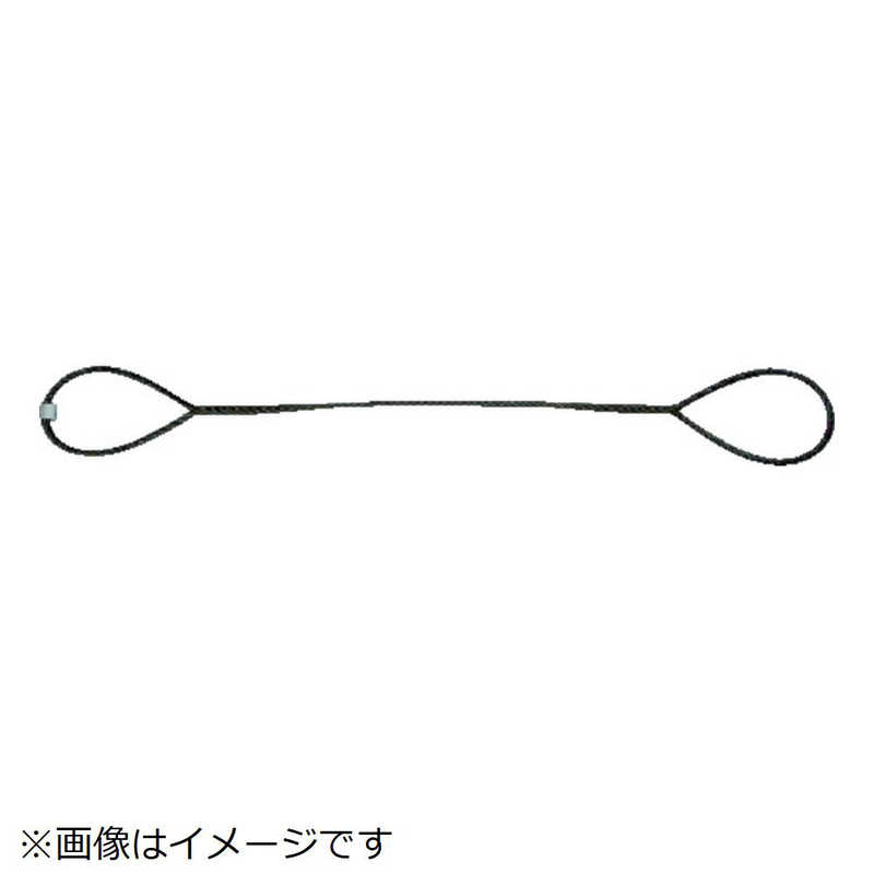 デウス エクスマキナ TRUSCO(トラスコ) 4本吊玉掛ワイヤーロープスリング(カラー被覆付)アルミロックタイプ 青透明1.5M TWSP4P12S1 .5