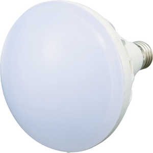 トラスコ中山 LED投光器用 20W LED球 RTL20W