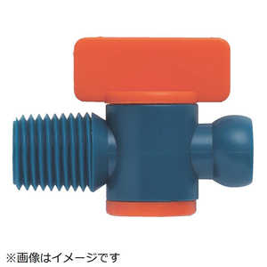 �ȥ饹���滳 �������ȥ饤�ʡ� ���ͤ������ץХ�� ������1/2 PCL4B02