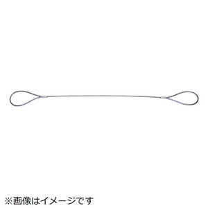 楽天市場】玉掛 ワイヤー 5mの通販 楽天市場】玉掛 ワイヤー 5mの通販