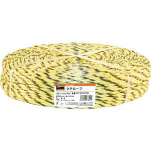トラスコ中山 PPロープ 幅5mmX長さ300m 黄黒 PP-5300YB トラスコ中山 PPロープ 幅5mmX長さ300m 黄黒 PP-5300YB