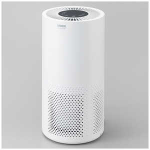 サンカ 除菌空気清浄機 ホワイト 空気清浄:17畳まで PM2.5対応 SAP-4100