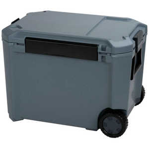 �R�A�t���b�N�X 44L CF-44IG [�C���f�B�S�O���[]