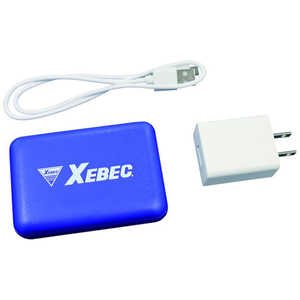 ���o�C���o�b�e���[�Z�b�g 100