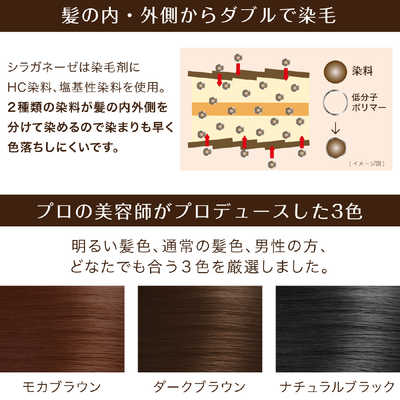 アントレックス シラガネーゼ ポイントリッチカラーEX モカブラウン の