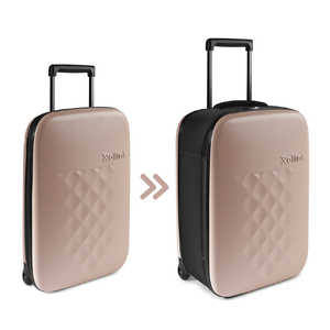 ROLLINK FLEX tH[_uX[cP[X [YX[N [40L /2?3] 50826