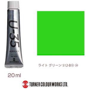 ターナー色彩 ヘビーボディ 20ml U-35 アクリリックス ライトグリーン UA020512