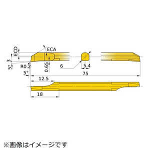 ɩޥƥꥢ ɩ ⡼ġ ²ù CBƥåĥ PVDƥ VP15TF CB06RS02B