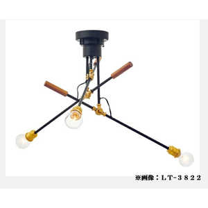 インターフォルム シーリングライト Franz(フランツ) ボール型LED電球(60W相当電球色)×3灯付 ［6畳 電球色］ LT3825