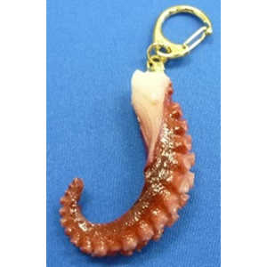 志賀サンプル 職人の作る食品サンプル キーチェーン たこ足 SIGA52195 志賀サンプル 職人の作る食品サンプル キーチェーン たこ足 SIGA52195