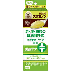 アースペット アースCP スタミノン 関節ケア 40g アースペット アースCP スタミノン 関節ケア 40g