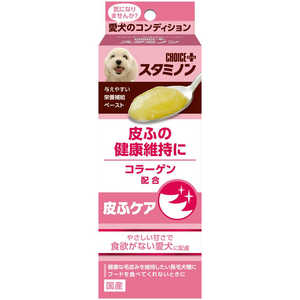 アースペット チョイスプラススタミノン 皮ふケア 40g アースペット チョイスプラススタミノン 皮ふケア 40g