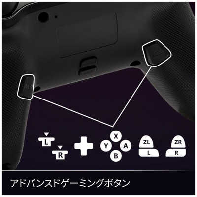 アコ・ブランズ・ジャパン PowerA ルメクトラ・エンハンスド