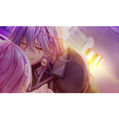 家庭用ゲームソフト Nintendo Switch - Cendrillon palikA Switch アイディアファクトリー Switchゲームソフト Cendrillon palikA