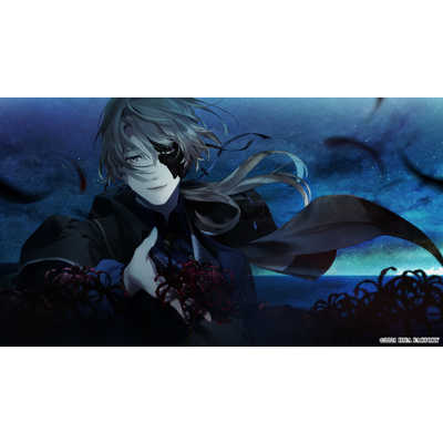 アイディアファクトリー Switchゲームソフト 終遠のヴィルシュ -ErroR