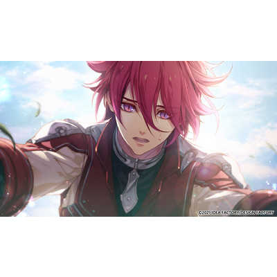 アイディアファクトリー Switchゲームソフト ラディアンテイル 通常版