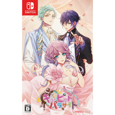 Switch　 キューピットパラサイト 　通常 ふるいちオンライン - ゲーム/Nintendo Switch/キューピット