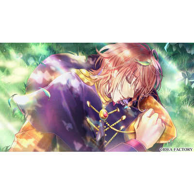 ミストニアの翅望 Amazon.co.jp: 【Switch】ミストニアの翅望 -The Lost Delight