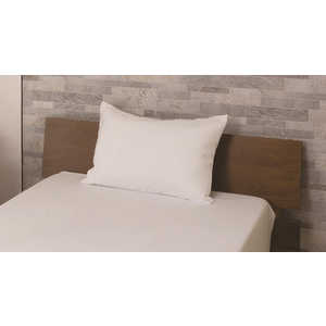 @ (Jo[)DSC2263 100Jo[ t@Xi[ zCg m43×63cmp /t@Xi[^Cvn