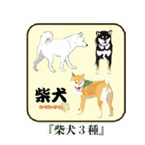 �u���[�~���O���� �a���n���J�` �Č�3��