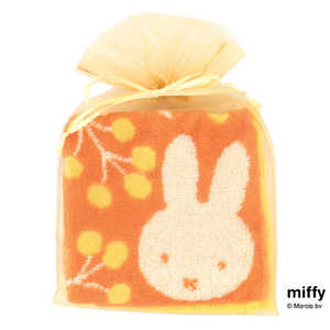 ブルーミング中西 タオルハンカチ ビビットカラー (オーガンジーパッケージ入り) 