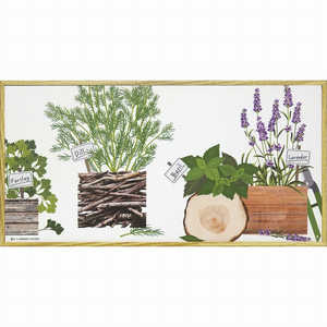 [p[ A[gz _ LoXA[g n[u RNVun[u ZbgB(MTCY)v YP03522