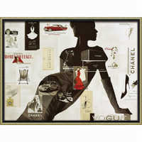 オマージュアート　白馬 オランダST 白黒 薩摩産 12cm #金魚 #オランダ #ショートテール