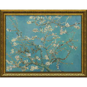 [p[ SbzuA[h̉ԁv MW18076