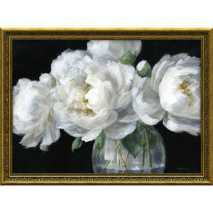 [p[ _tC iCuzCg sIj[ OXv DN20005