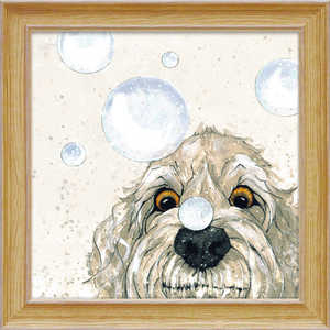 [p[ x fCrXuouv BD09001