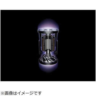ダイソン dyson スティッククリーナー DysonCycloneV10Fluffy  