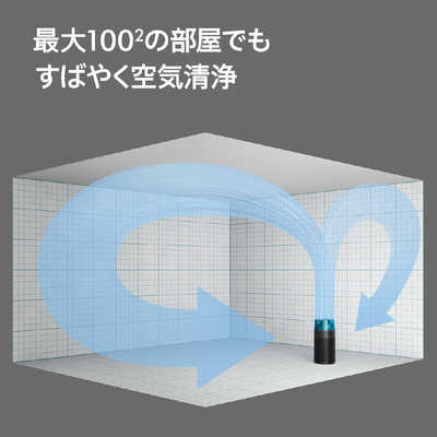 Dyson - かえるさん ダイソン dyson 空気清浄機 Dyson Hushjet shizuka 空気清浄:53