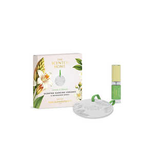 ���u�C���R���t�H�[�g �Z���~�b�N�T�V�F �W���X�~�����`���x���[�Y SHCER221