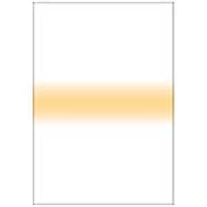 LEE リーフォトグラフィック樹脂フィルター 100X150mm角 ストライプストローストライプ LEE リーフォトグラフィック樹脂フィルター 100X150mm角 ストライプストローストライプ