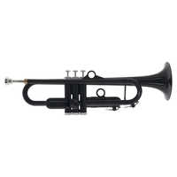 PINSTRUMENTS プラスチック製トランペット pTrumpet hyTech（ピー