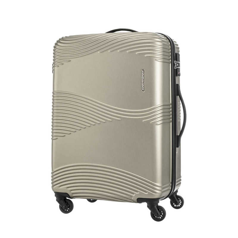 カメレオン スーツケース 64L 全国組立設置無料 TEKU テク LIGHT GOLD DY836002 安心の定価販売