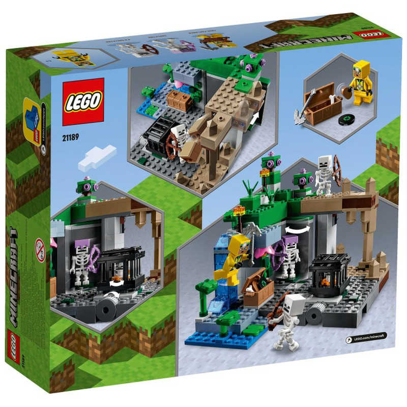 レゴジャパン レゴジャパン LEGO（レゴ） 21189　スケルトンの洞窟  