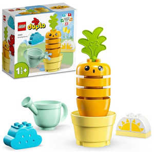 レゴジャパン LEGO(レゴ) 10981 デュプロ はじめてのデュプロ ニンジンをそだてよう 